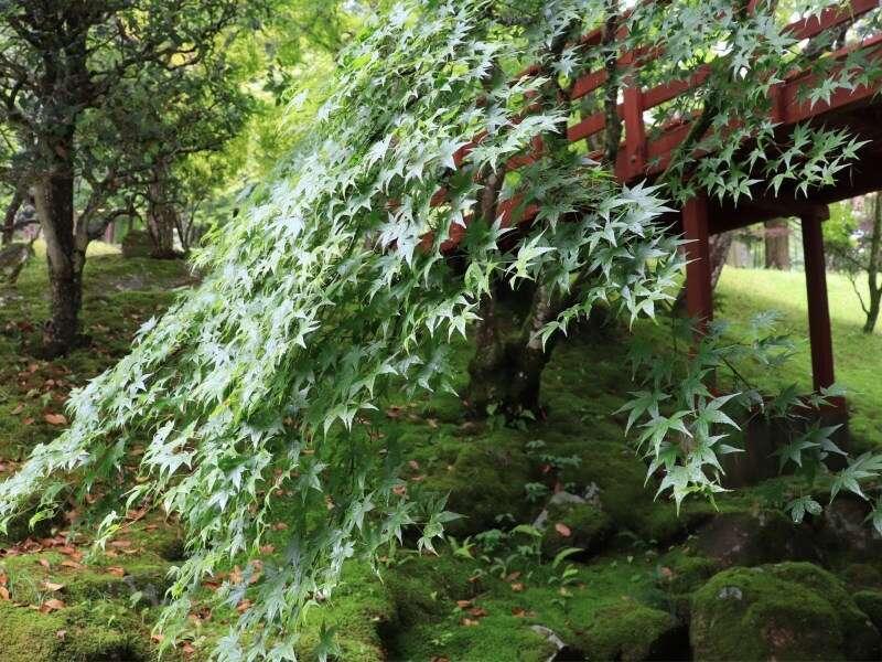 Yumoto Ueyama Ryokan Himeji Zewnętrze zdjęcie